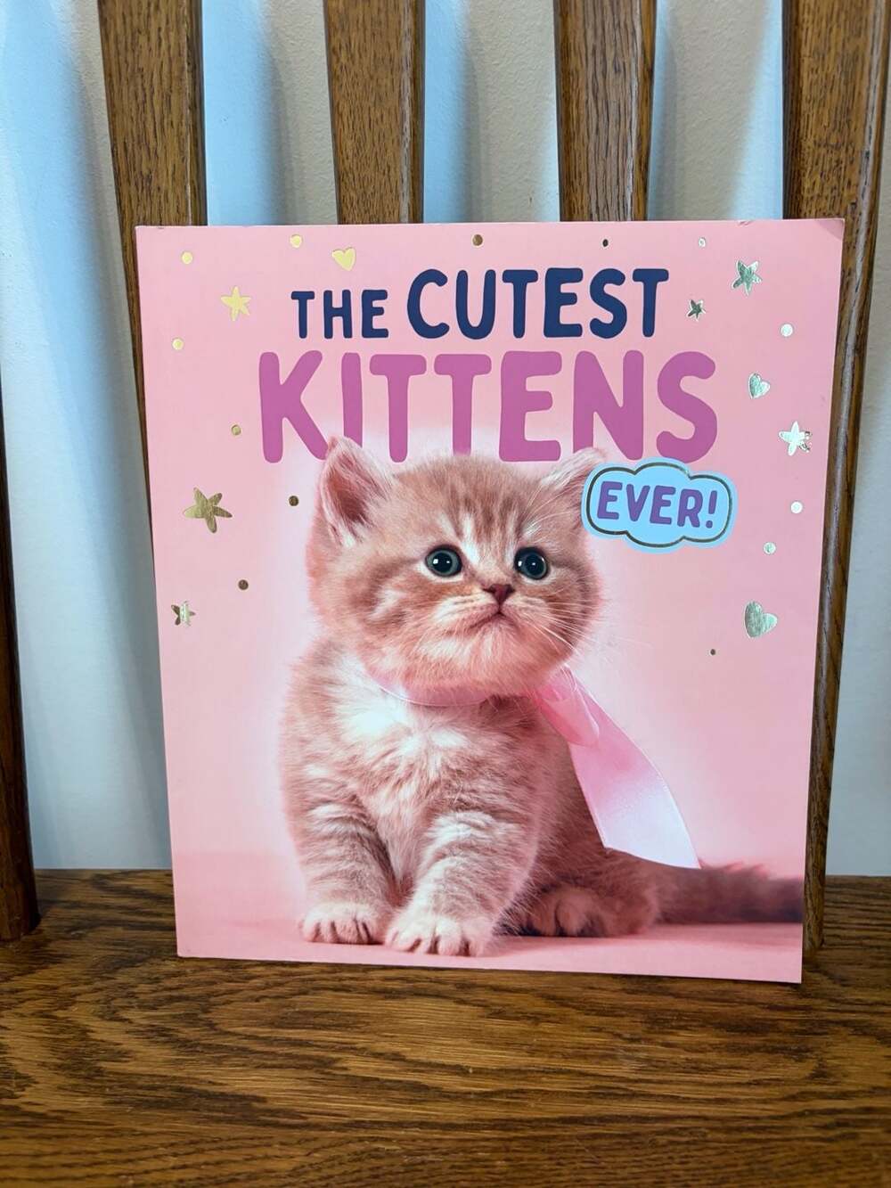 The Cutest Kittens Ever!